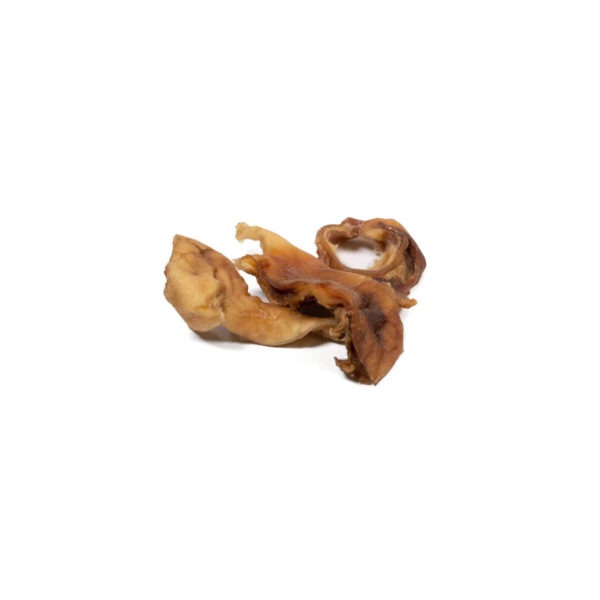 S6104910_1 S6104910_1