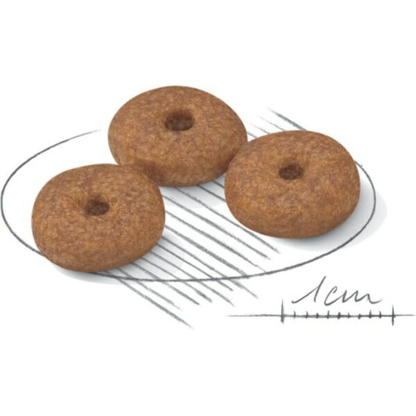 S9105372_2 S9105372_2