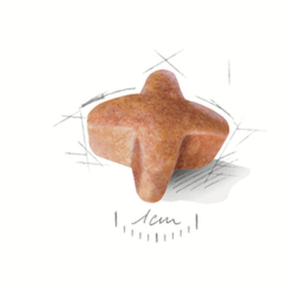 S9111220_1 S9111220_1