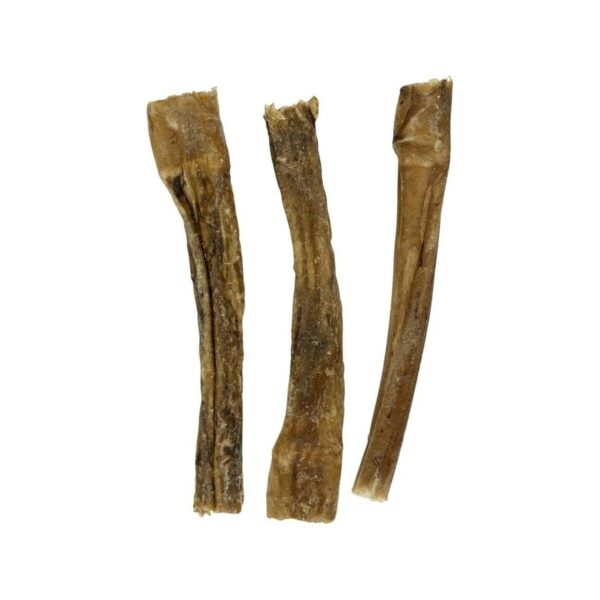 S91108715_1 S91108715_1