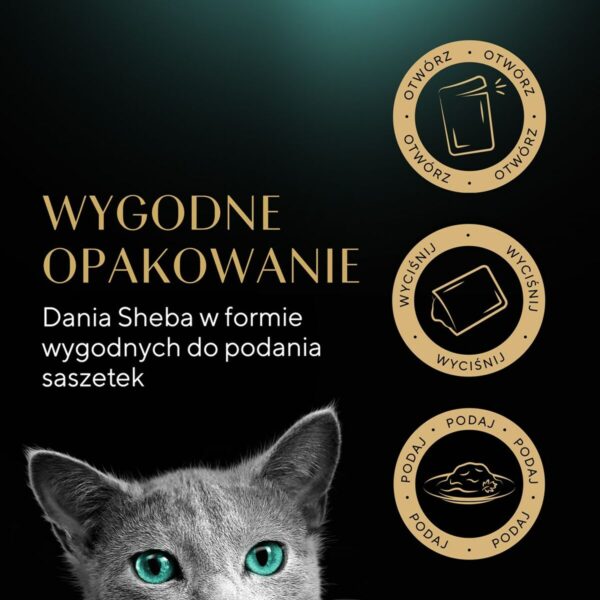 S91103303_10 S91103303_10