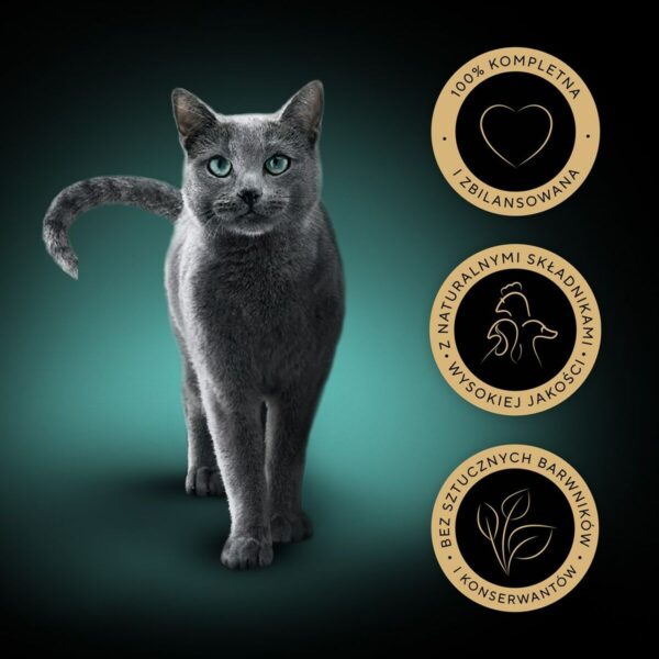 S91103303_5 S91103303_5