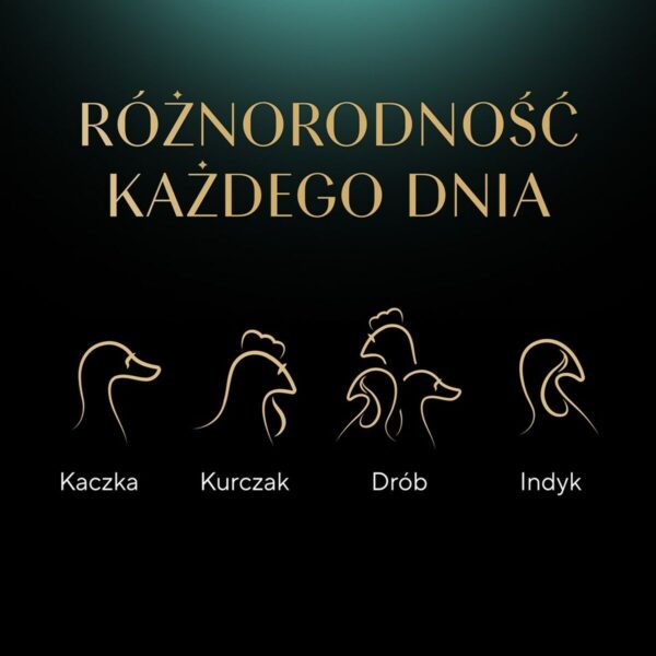 S91103303_8 S91103303_8