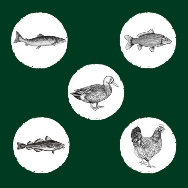 S91115358_5 S91115358_5