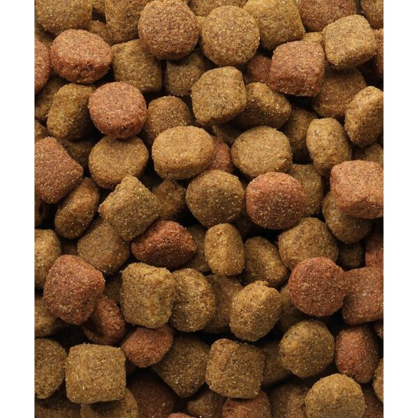 S9158699_1 S9158699_1