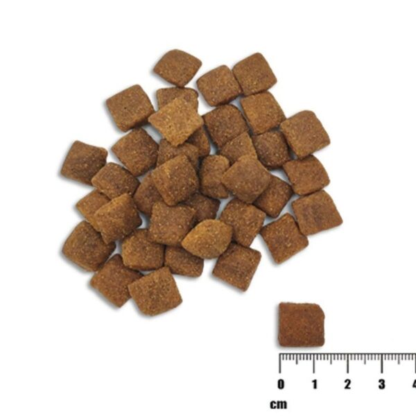 S91107272_2 S91107272_2