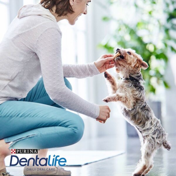 S9111090_1 S9111090_1